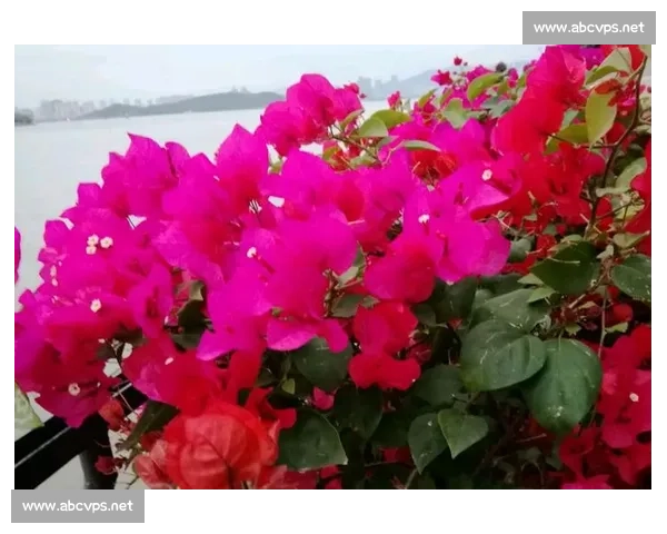 金钥匙比赛:点燃创意激情,激发年轻力量,助力未来科技梦想腾飞